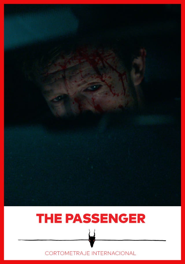 The Passenger