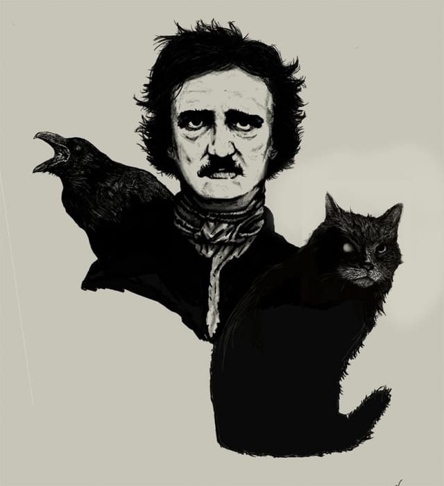 poe cat raven
