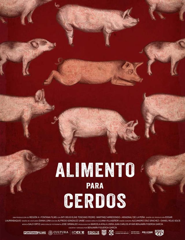 Alimento para cerdos