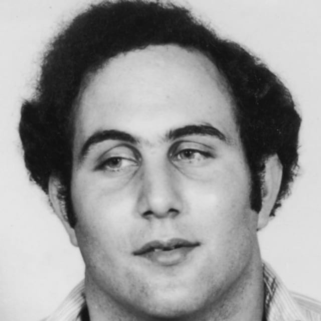 david-berkowitz-9209372-1-402