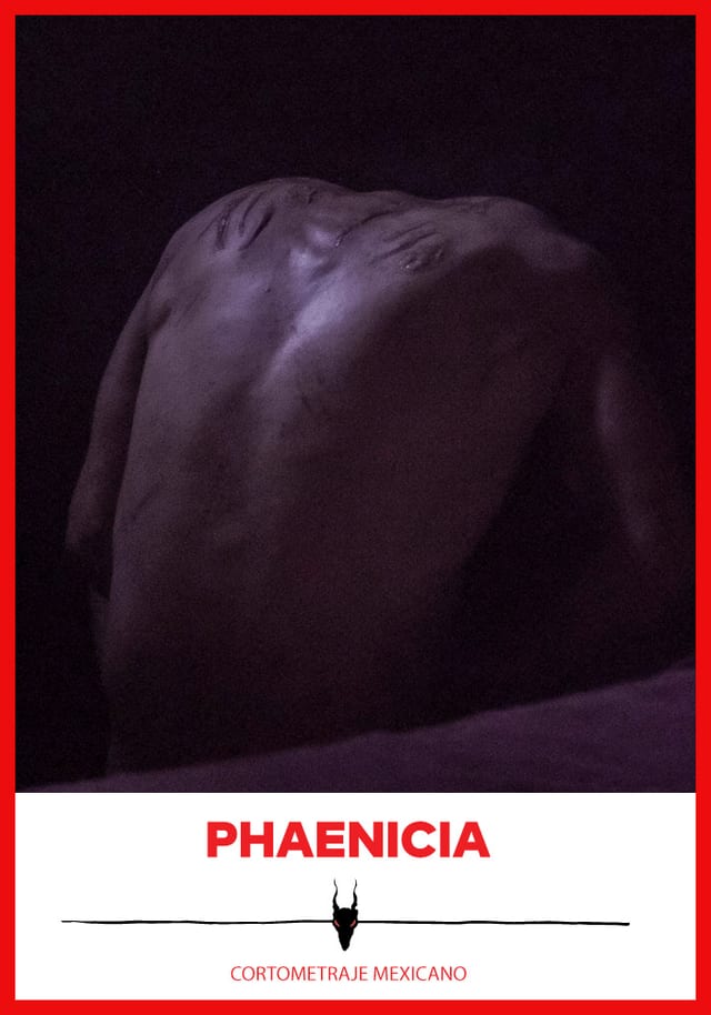 Phaenicia