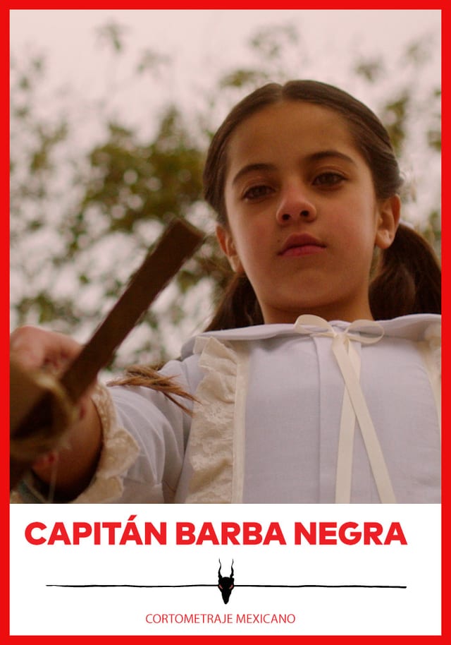 Capitán Barba Negra