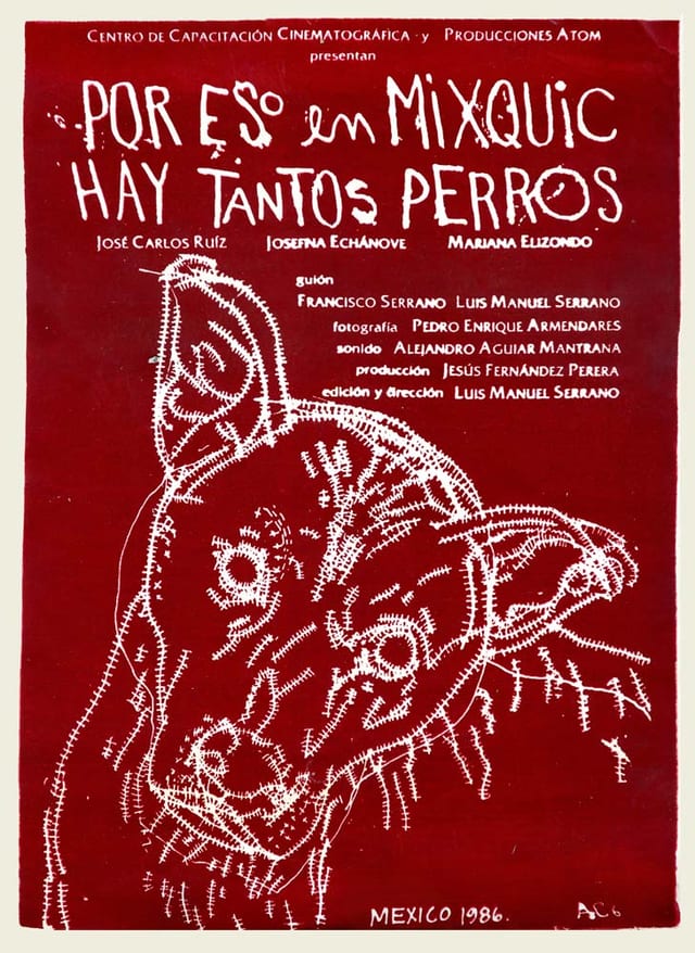 Por eso en Mixquic hay tantos perros