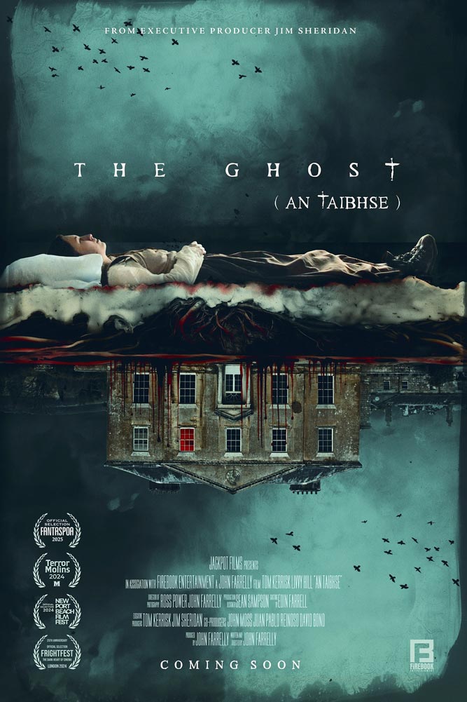 An Taibhse poster