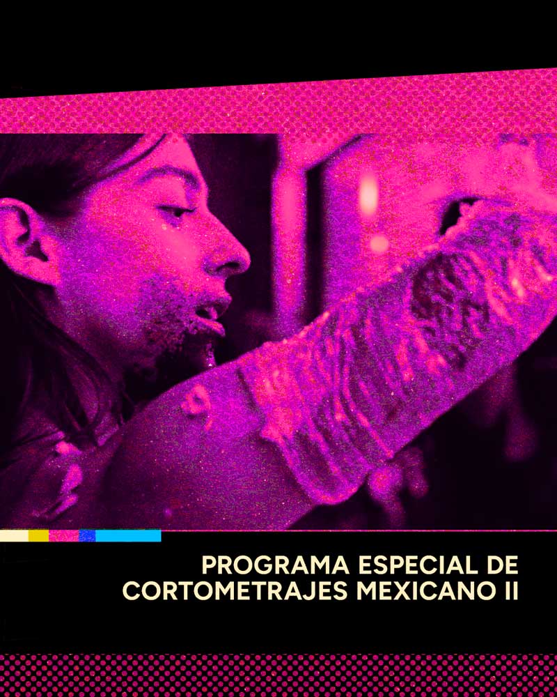 Programa especial de cortometrajes mexicano II poster