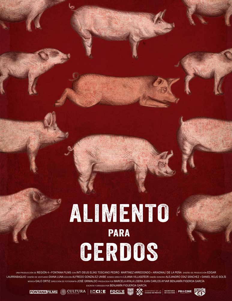 Alimento para cerdos poster