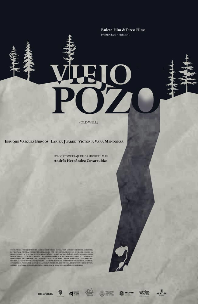 Viejo Pozo poster