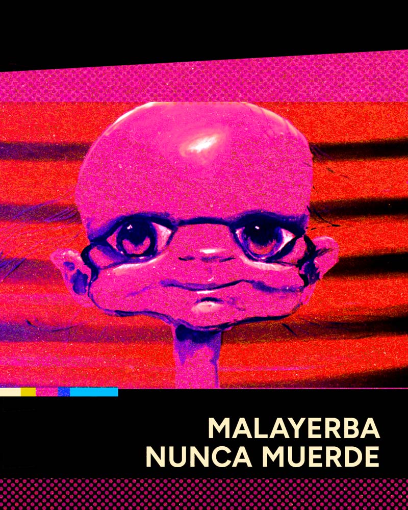 Malayerba nunca muerde